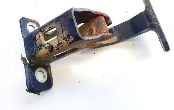 Dacia Logan I Rear door lower hinge