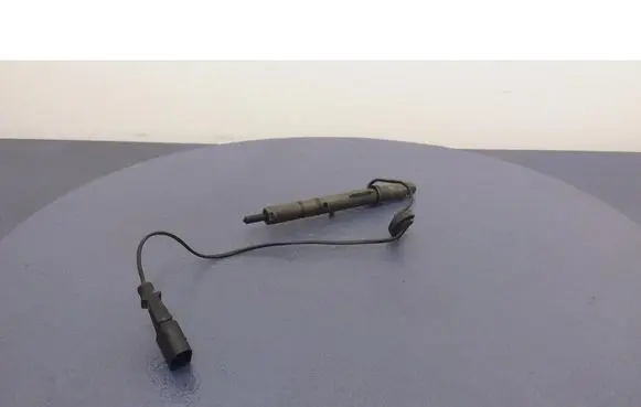 Audi A4 S4 B6 8E 8H Fuel injector 1974000007
