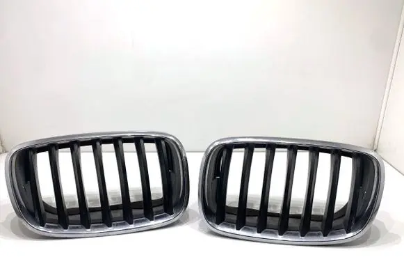 BMW X6 E71 Front grill 71713967171395