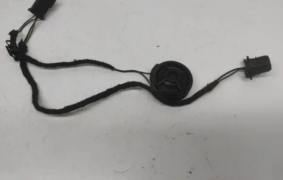Front door high frequency speaker