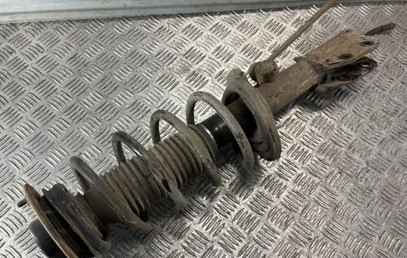 Chevrolet Captiva Front shock absorber with coil spring