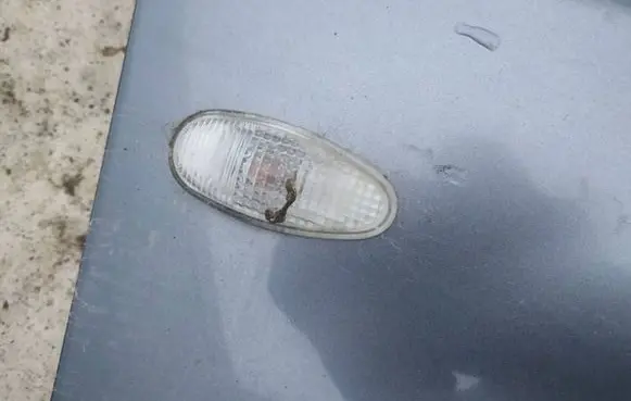Mitsubishi Outlander Front fender indicator light