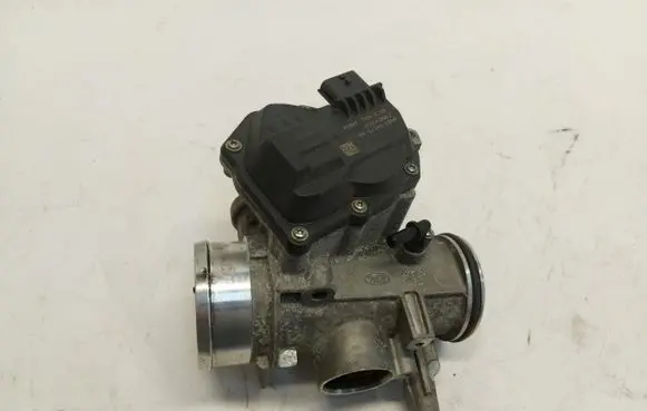 Throttle body valve