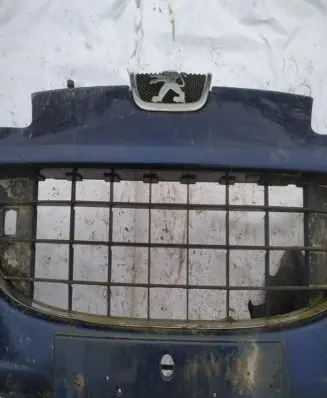 Peugeot 407 Front bumper lower grill