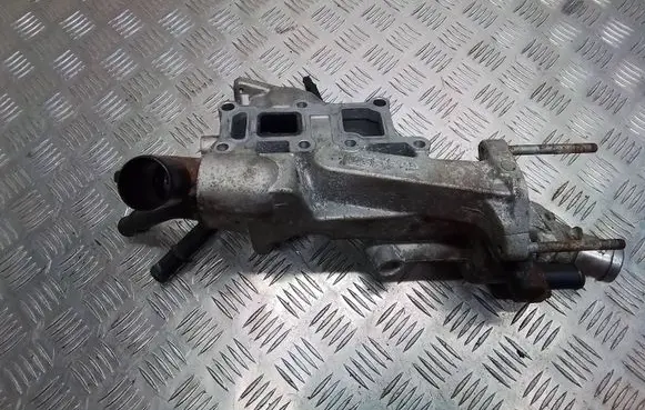 Thermostat/thermostat housing
