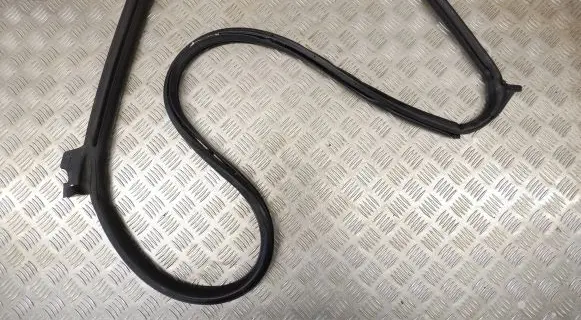 Tesla Model S Rubber seal rear door 