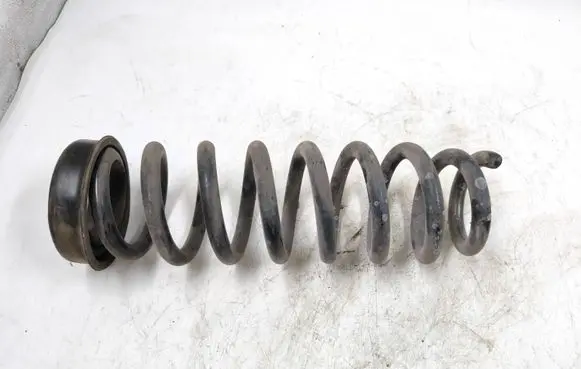 Rear coil spring