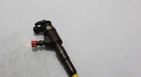 Peugeot 307 Fuel injector 0445110135