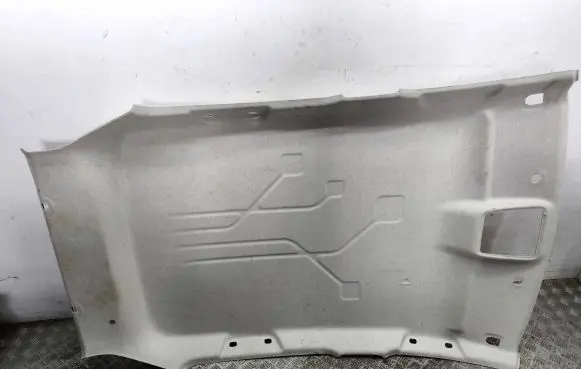 Renault Zoe Headlining 739102013R