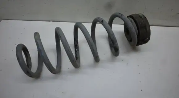 Rear coil spring