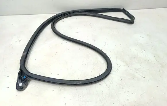 Audi TT TTS RS Mk3 8S Rubber seal front door (on door) 8S8831708