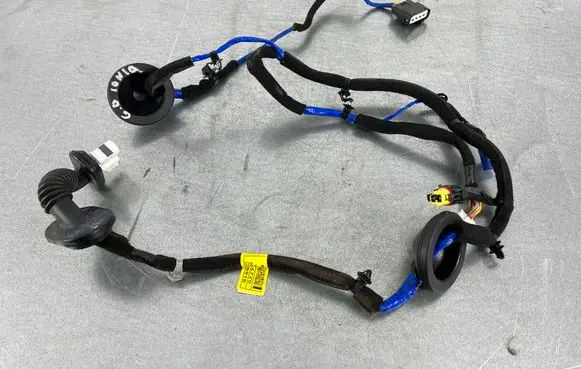 Hyundai Ioniq Rear door wiring loom 91660G2271