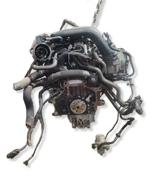 Skoda Octavia Mk2 (1Z) Engine CAX
