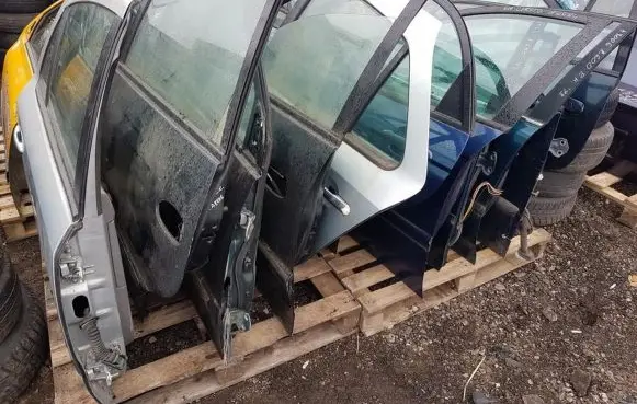 KIA Carens I Rear door