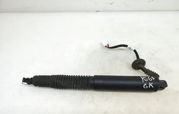 Tailgate strut