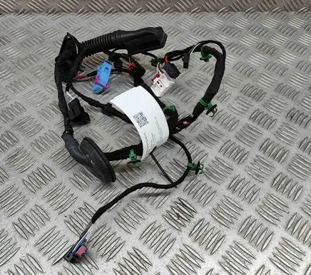 Volkswagen ID.5 Rear door wiring loom 4L0971841P 11A970403
