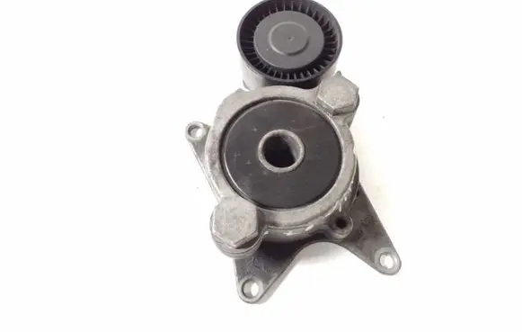 Lexus IS 220D-250-350 Timing belt/chain tensioner 166200R010