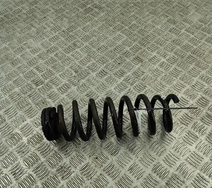 BYD Atto 3 Rear coil spring