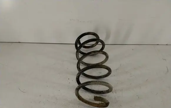Volkswagen PASSAT B6 Front coil spring 