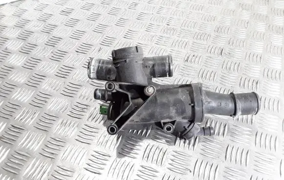 Thermostat/thermostat housing