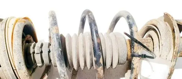 Front coil spring