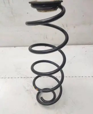 Rear coil spring