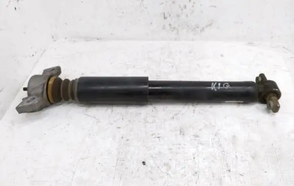 Ford Fusion II Rear shock absorber/damper DG9C18W002 DG9C18080BNG