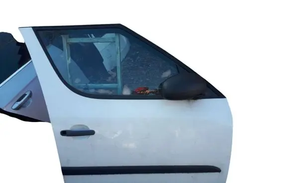 Skoda Roomster (5J) Front door