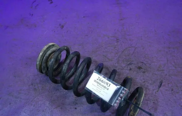 Rear coil spring