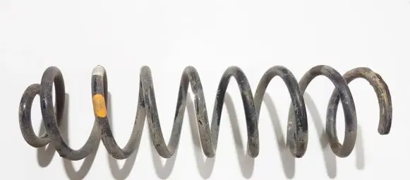 Renault Megane II Rear coil spring