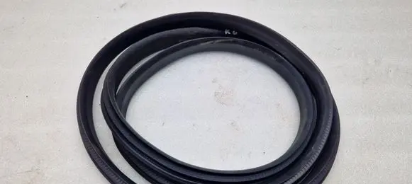 Renault Captur Rear door rubber seal (on body) 