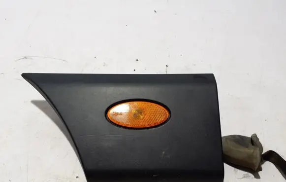 Fender trim (molding)