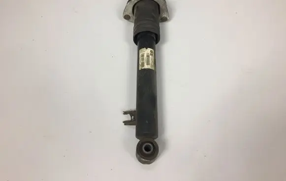 BMW X5 E70 Rear shock absorber/damper 3352678