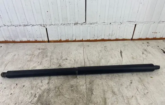 Tailgate strut