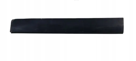 Ford Ecosport Front door trim (molding) CN15-20848-CAW
