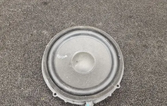 Tesla Model S Rear door speaker