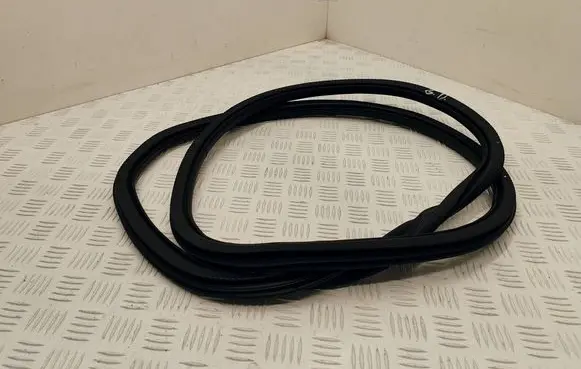 DS Automobiles 4 II Rear door rubber seal (on body)