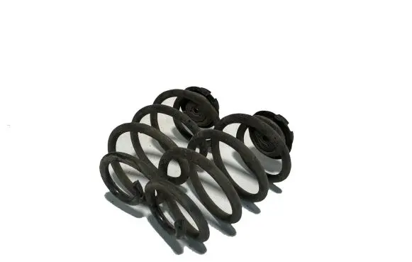 Nissan Leaf II (ZE1) Rear coil spring 550205SJ0A 23320