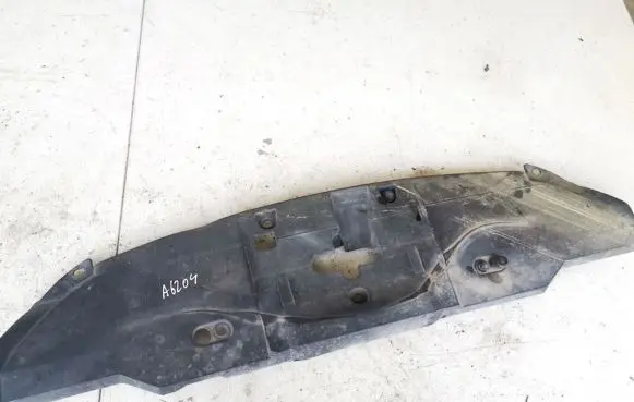 Engine bonnet/hood lock trim molding
