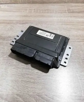 Engine control unit/module ECU