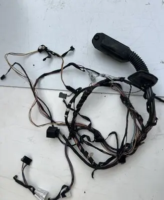BMW X3 F25 Front door wiring loom 9252388 9169242 9243655