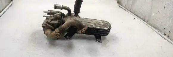 Volkswagen Golf V EGR valve cooler 038131513