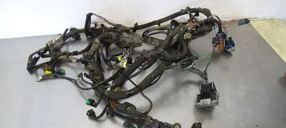 Citroen Berlingo Engine installation wiring loom