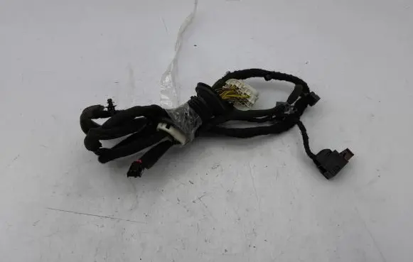 Opel Antara Front door wiring loom 95491036