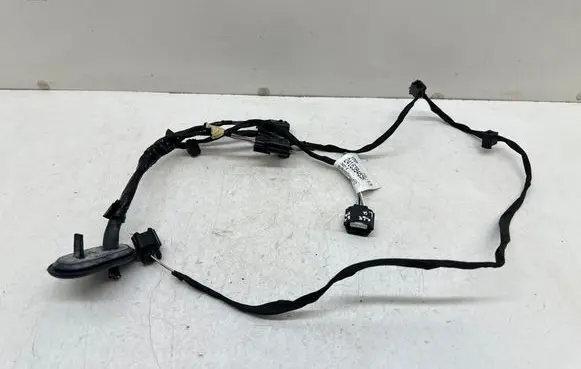 Renault Scenic IV - Grand scenic IV Other wiring loom 241638489R