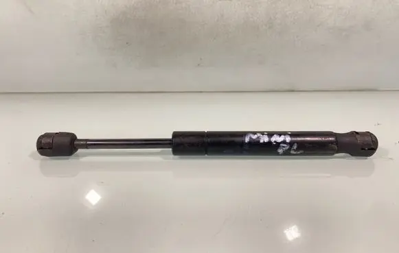 Front bonnet/hood damper/strut