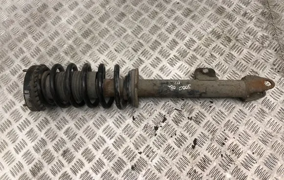 Chrysler 300 - 300C Front shock absorber with coil spring
