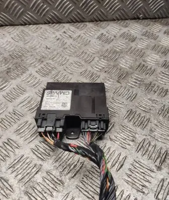 Tailgate/trunk control unit/module