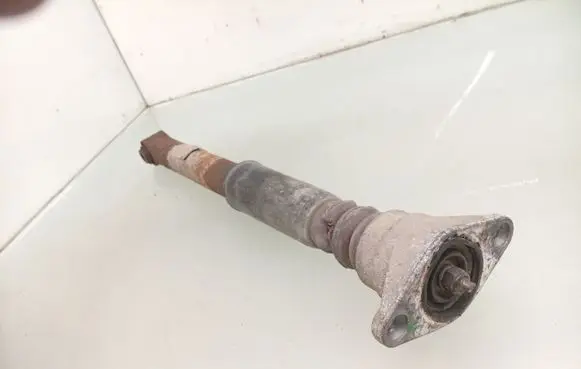 Rear shock absorber/damper