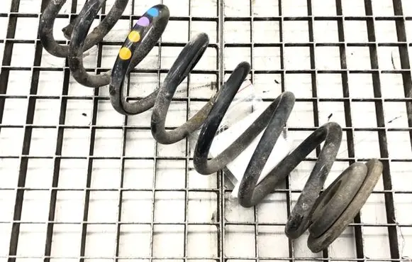 Rear coil spring
